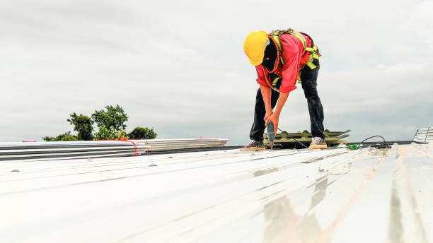 Best Roof Leak Repair  in Martindale, TX